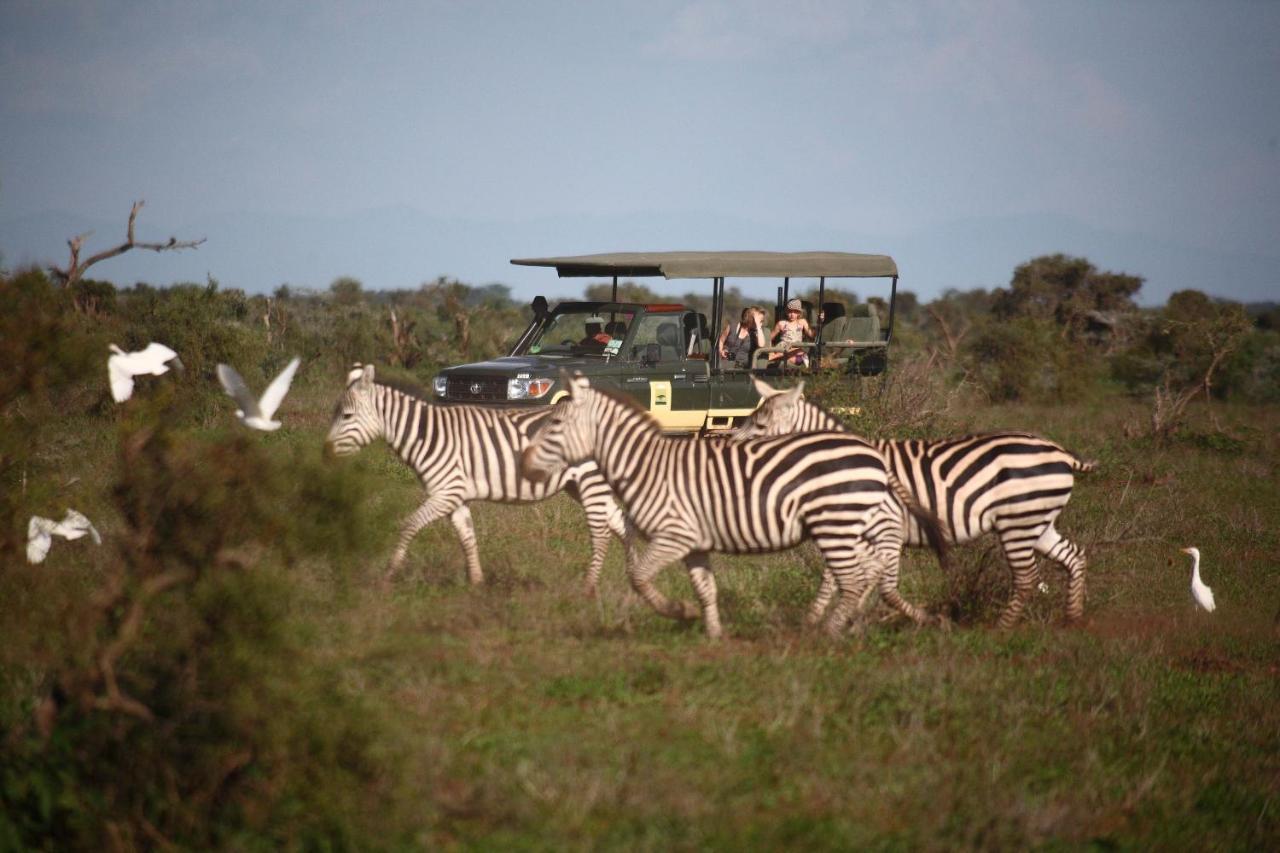 Luxury tent Elewana Tortilis Camp