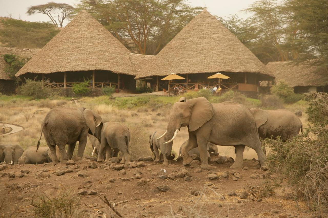 Elewana Tortilis Camp Luxury tent Amboseli